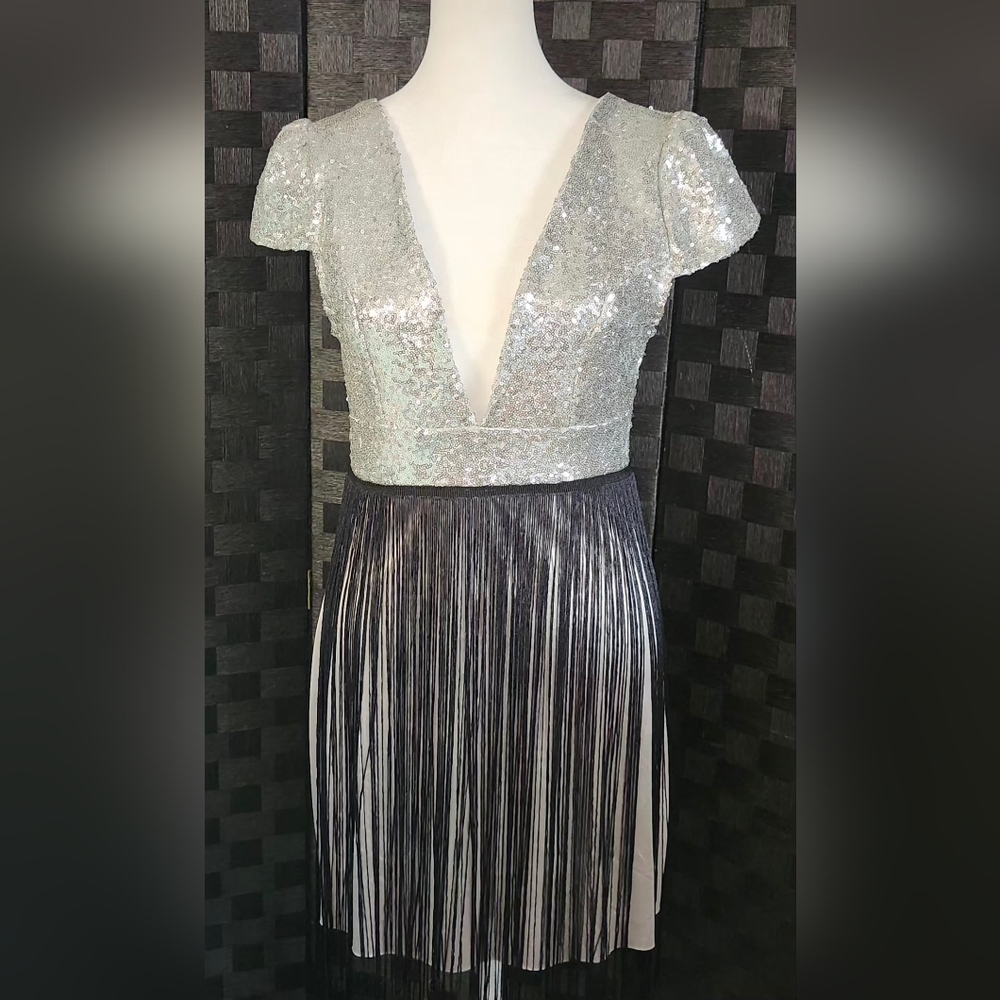 Glamorous Silver Sequin Fringe Mini Dress